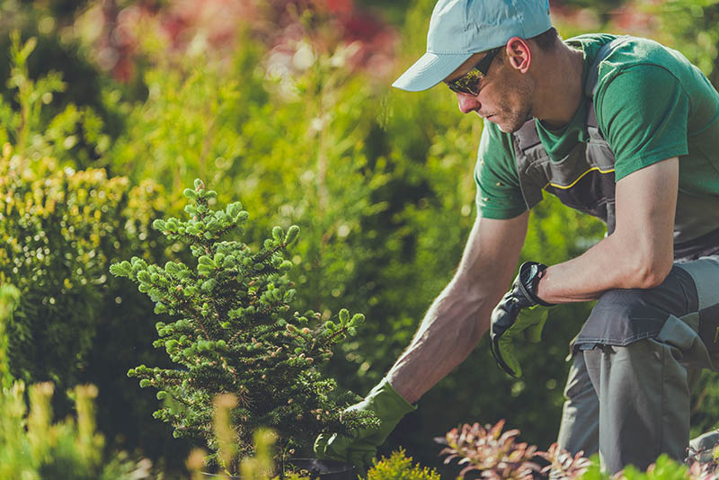 Landscaping Services GTA